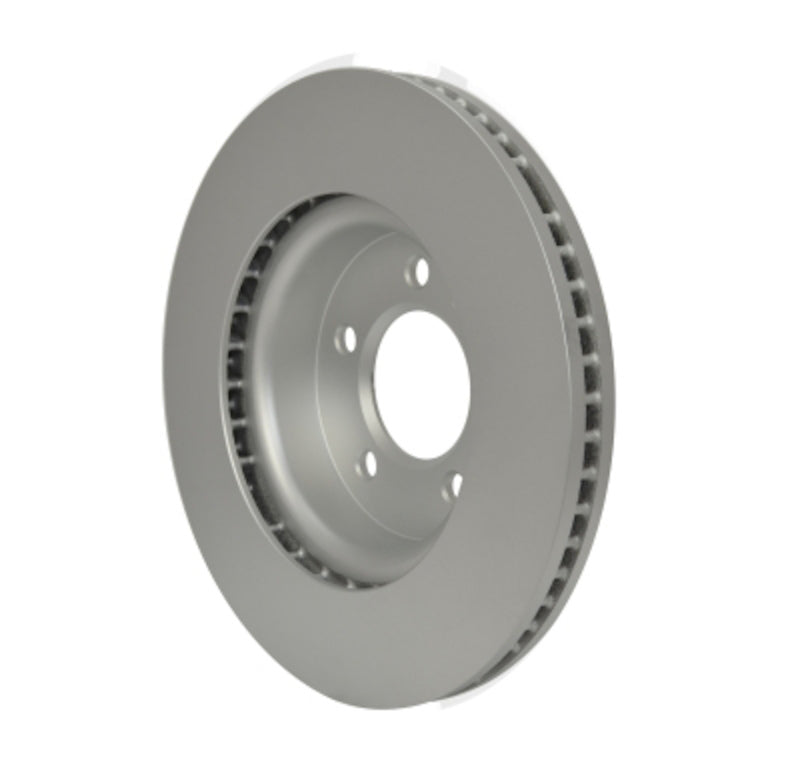 Back View of Front Disc Brake Rotor PAGID 355118642