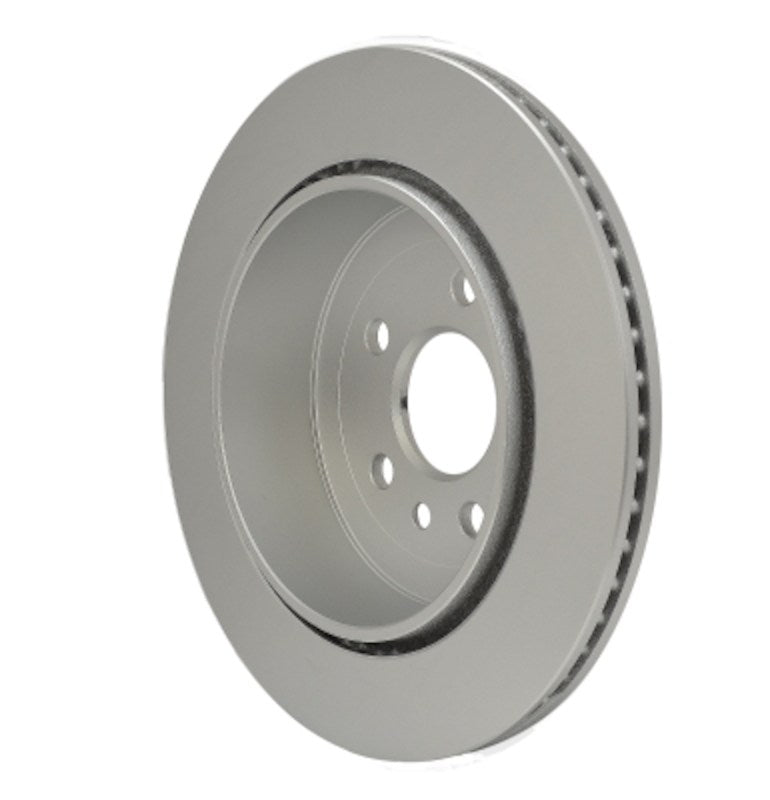 Back View of Rear Disc Brake Rotor PAGID 355122932