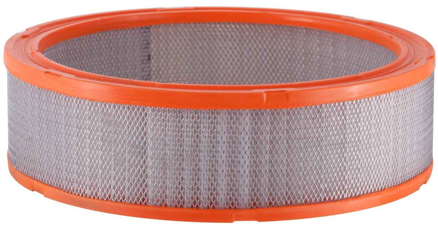 Side View of Air Filter PRONTO PA3195