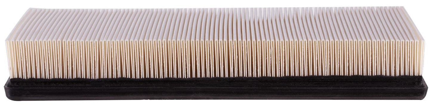 Side View of Air Filter PRONTO PA3465