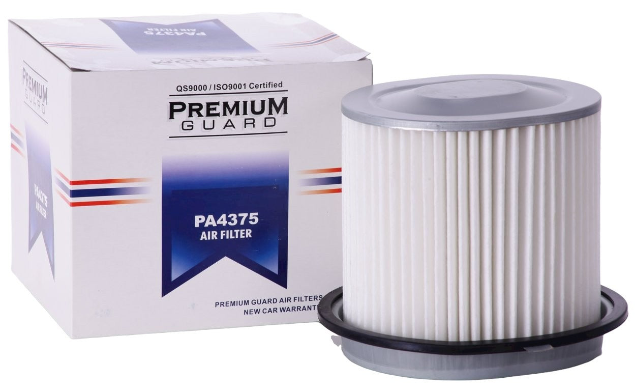 Package View of Air Filter PRONTO PA4375