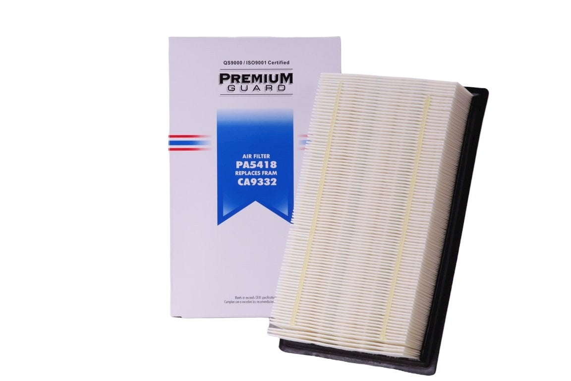 Package View of Air Filter PRONTO PA5418