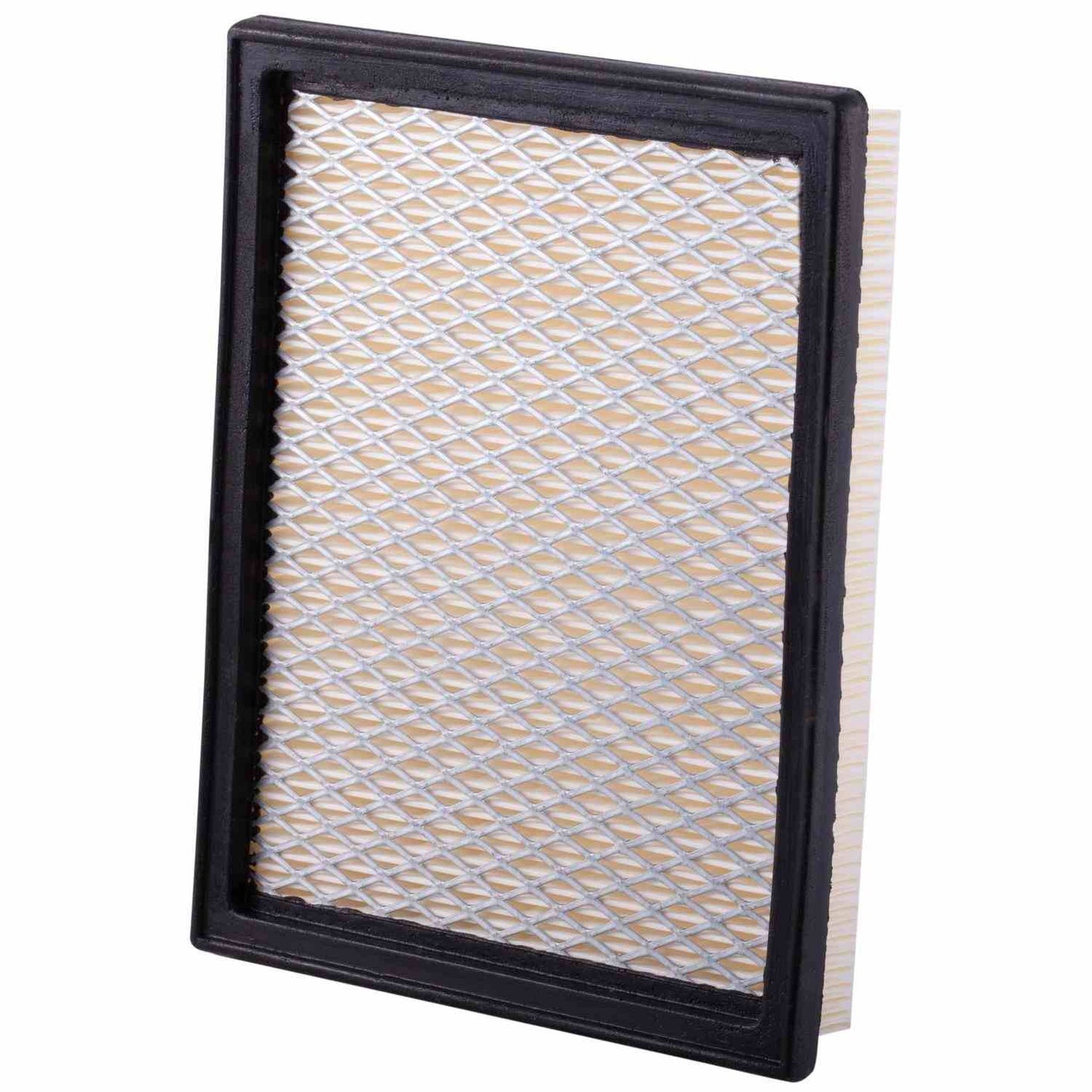 Back View of Air Filter PRONTO PA5461