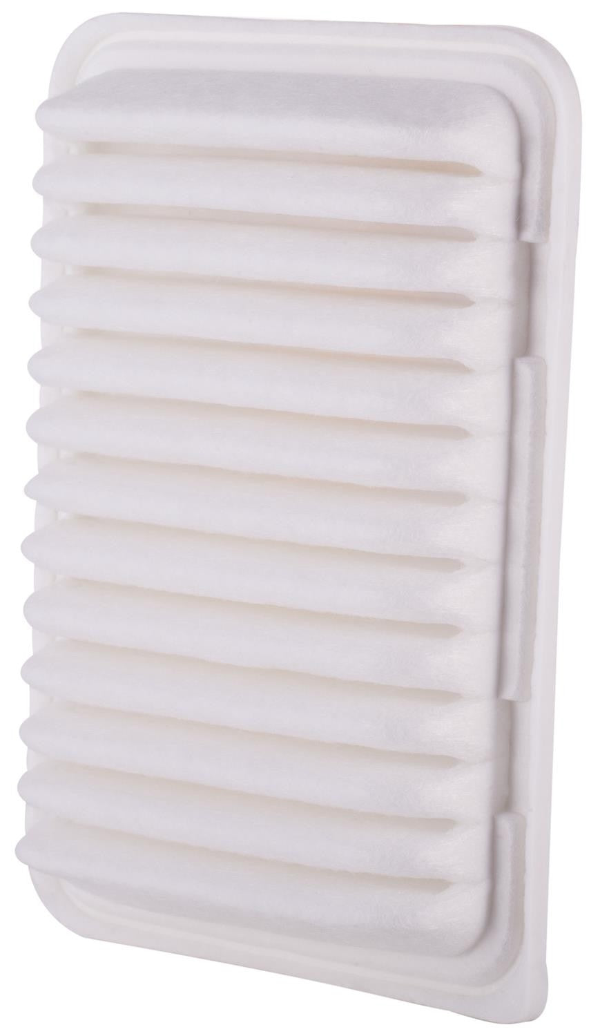 Bottom View of Air Filter PRONTO PA5655