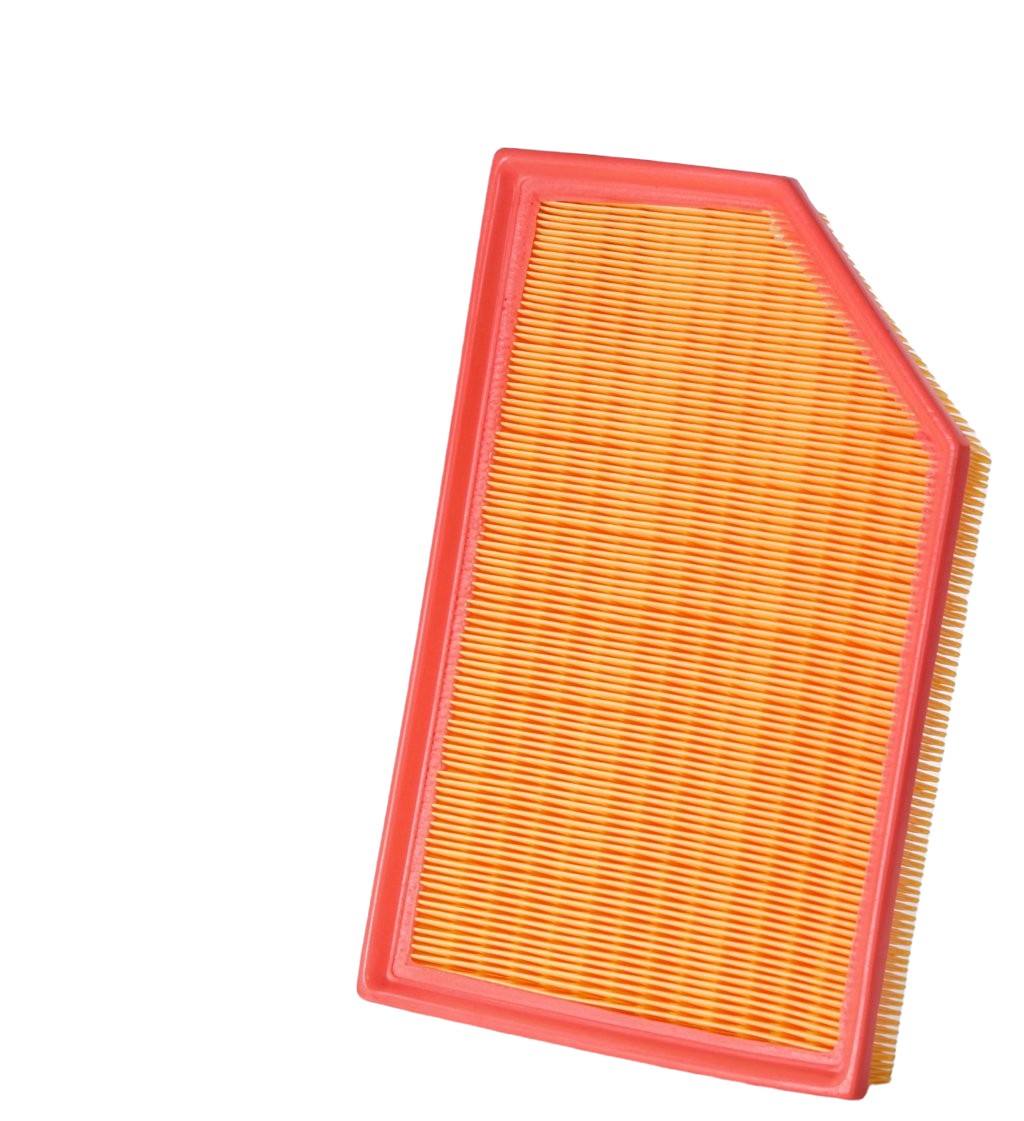 Package View of Air Filter PRONTO PA5795