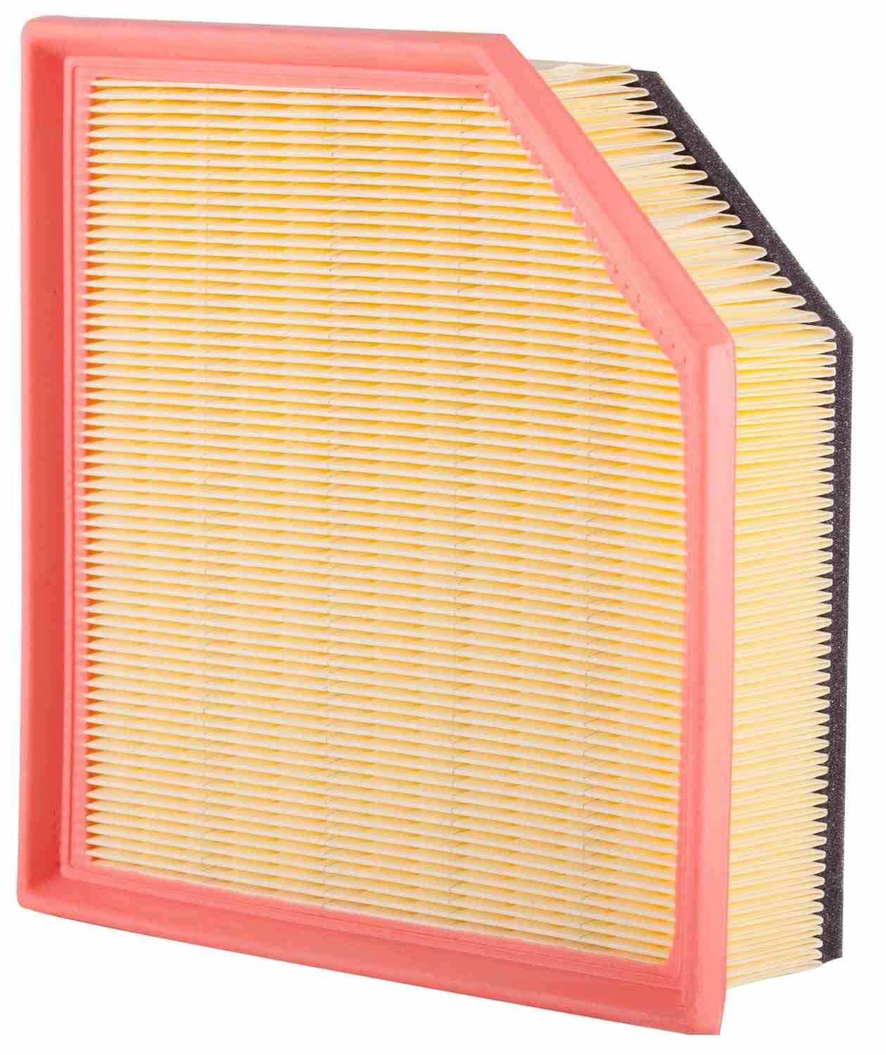 Back View of Air Filter PRONTO PA5883