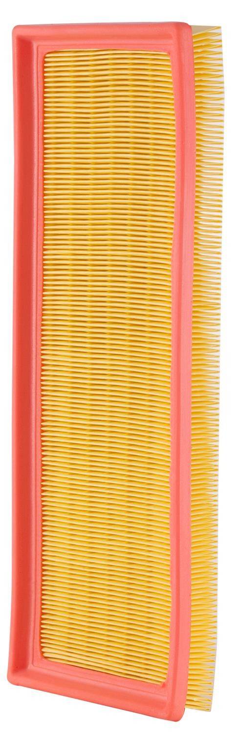 Back View of Air Filter PRONTO PA6183