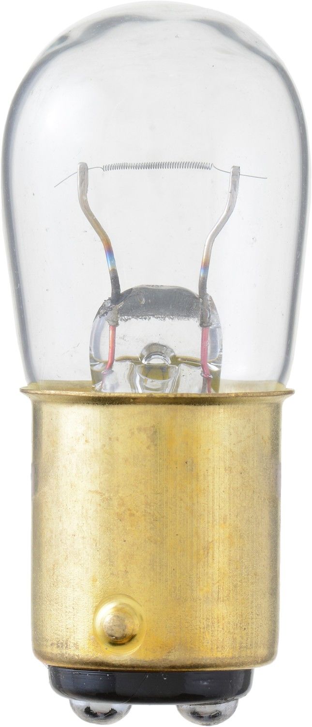 Front View of Dome Light Bulb PHILIPS 1004B2