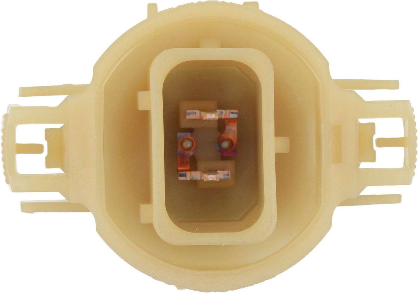 Bottom View of Front Fog Light Bulb PHILIPS 12086FFB1