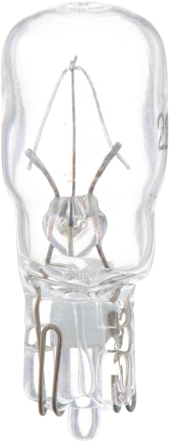 Front View of Courtesy Light Bulb PHILIPS 24B2