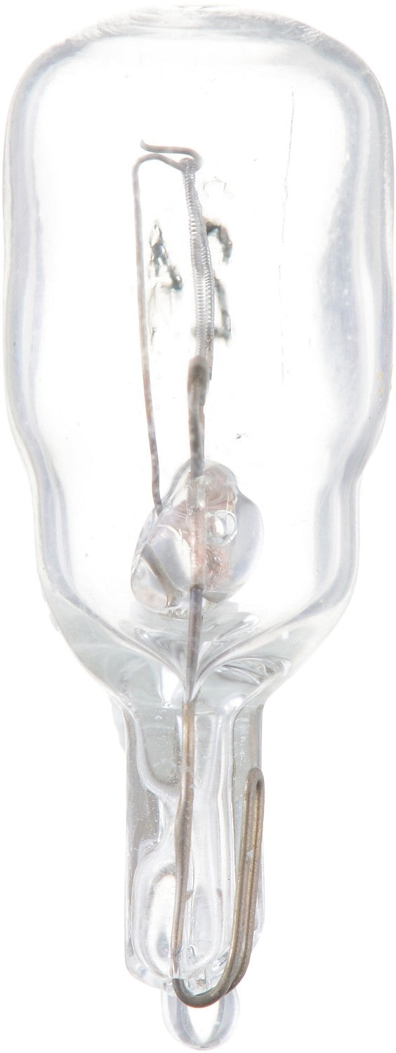 Left View of Courtesy Light Bulb PHILIPS 24B2