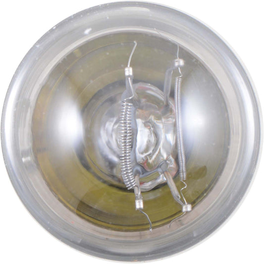 Top View of Front Turn Signal Light Bulb PHILIPS 3496LLB2