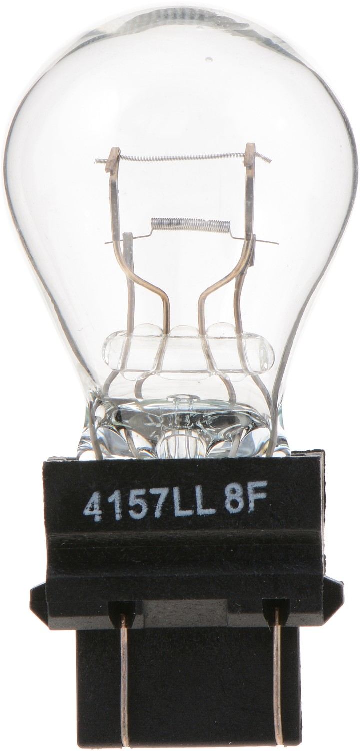 Back View of Tail Light Bulb PHILIPS 4157LLB2