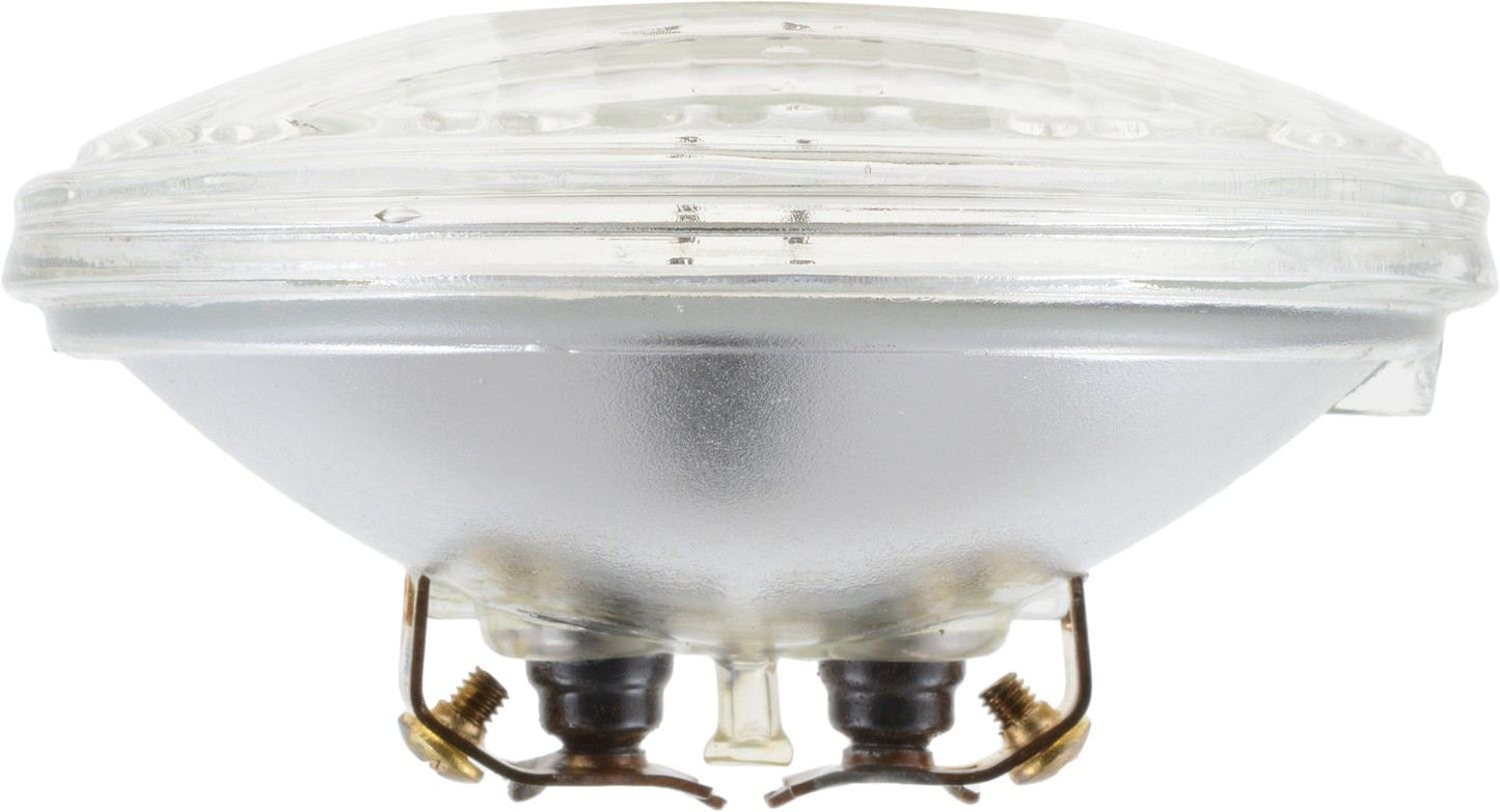 Bottom View of Headlight Bulb PHILIPS 4411C1