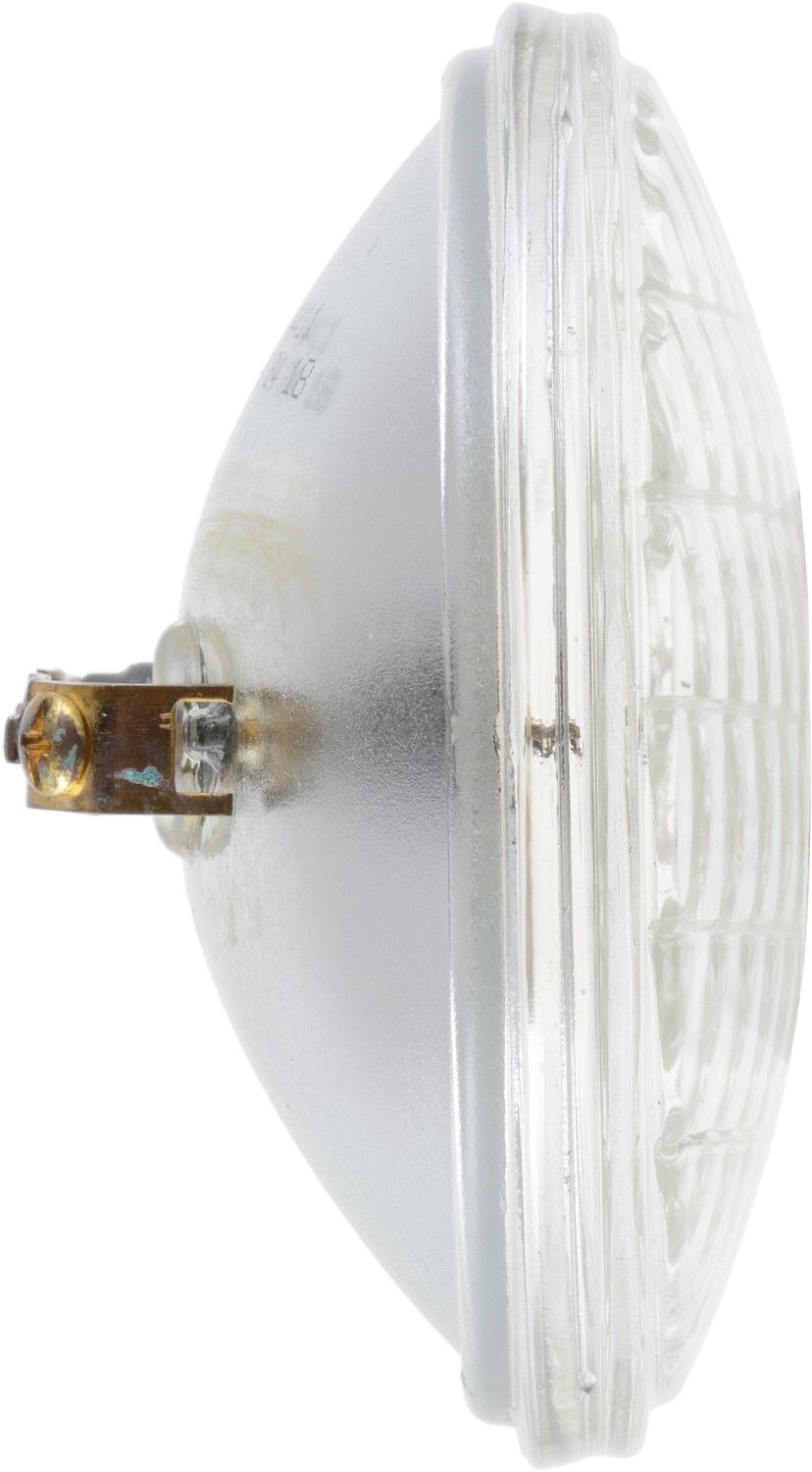 Left View of Headlight Bulb PHILIPS 4411C1