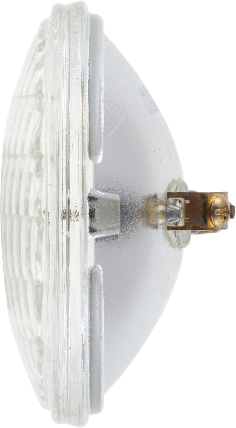 Right View of Headlight Bulb PHILIPS 4411C1