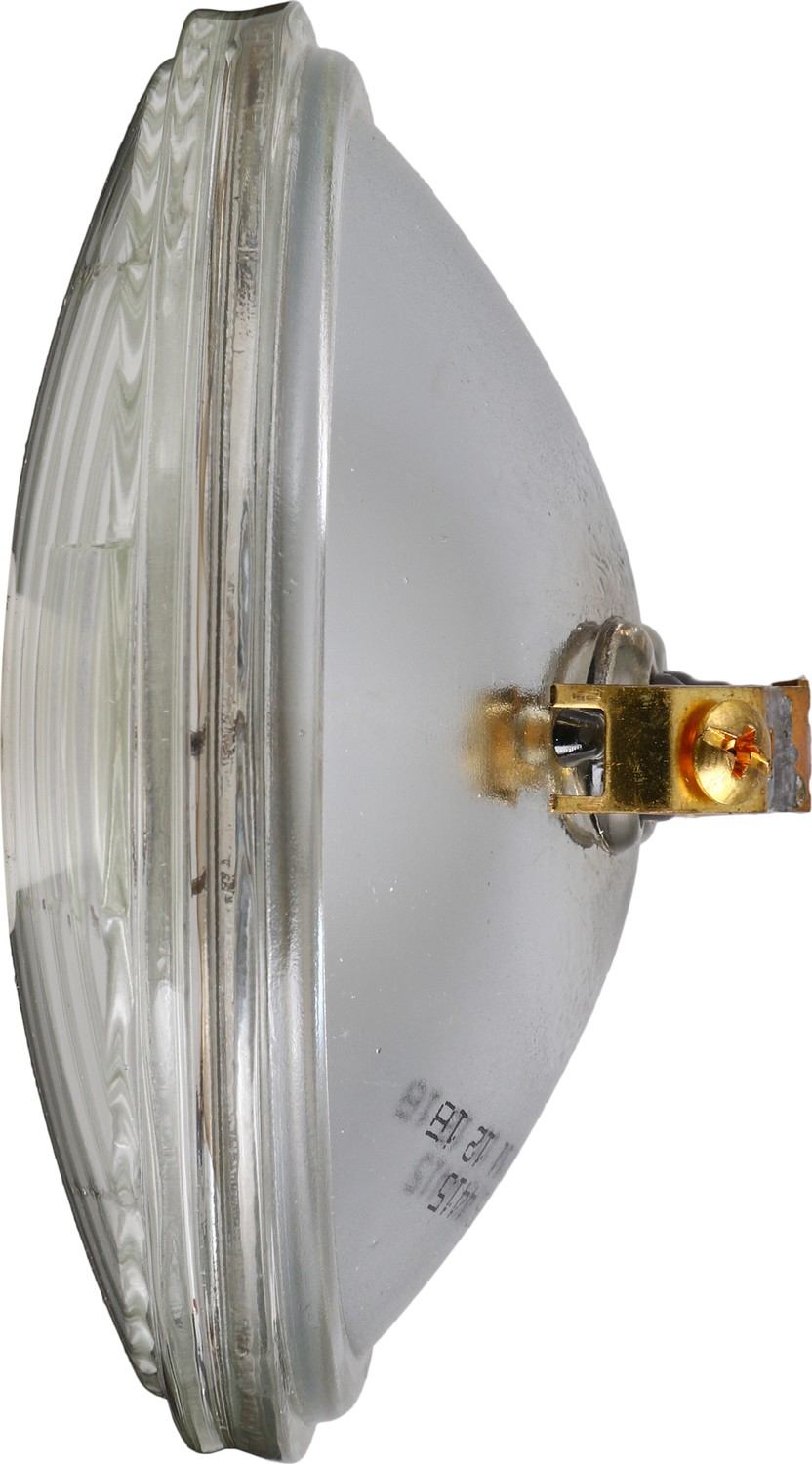 Right View of Headlight Bulb PHILIPS 4415C1