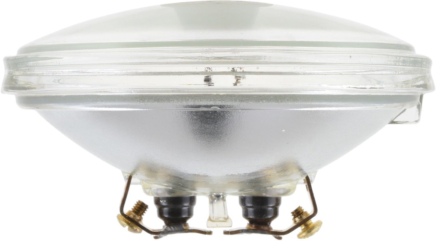 Bottom View of Headlight Bulb PHILIPS 4416C1