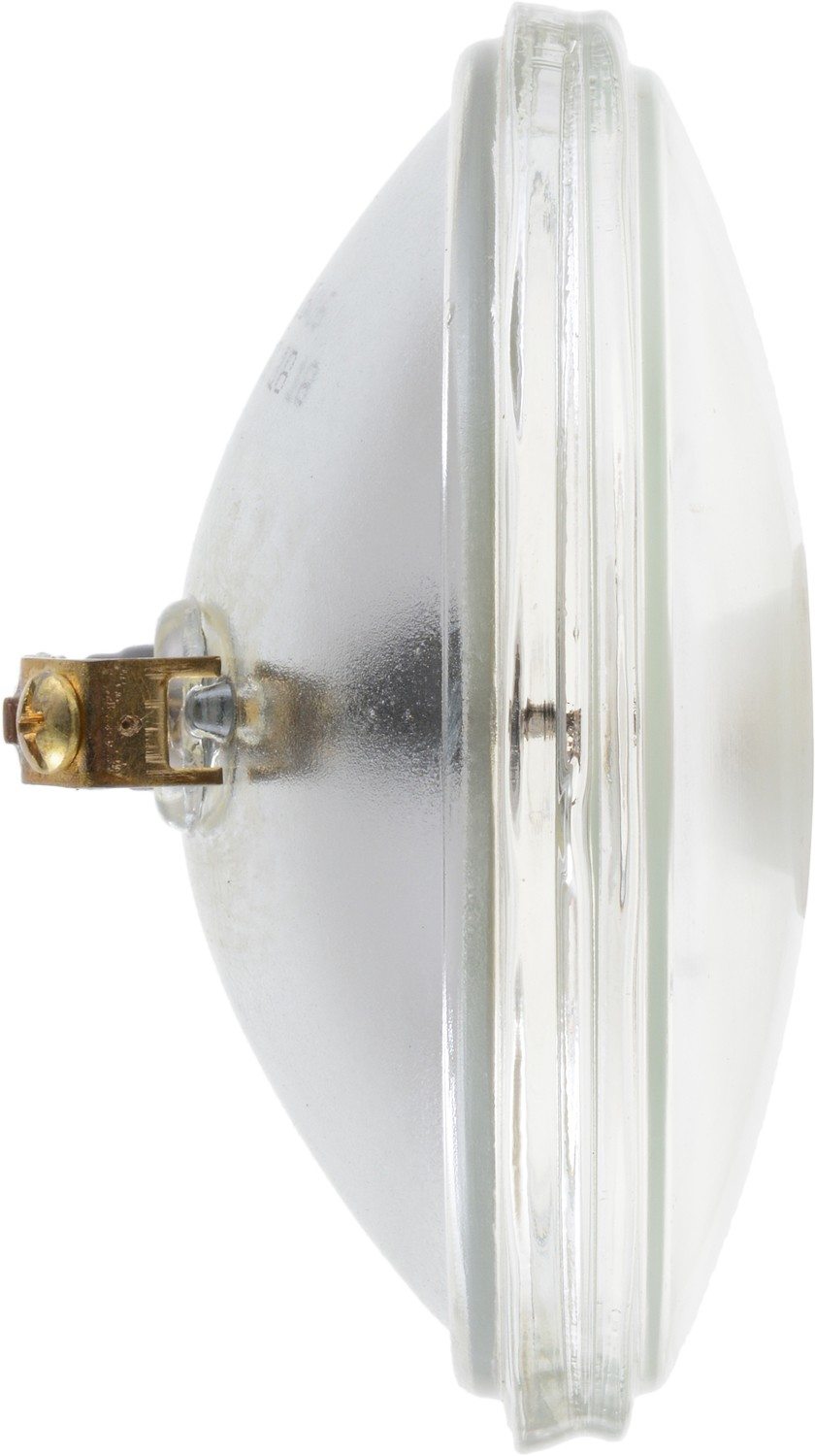 Left View of Headlight Bulb PHILIPS 4416C1