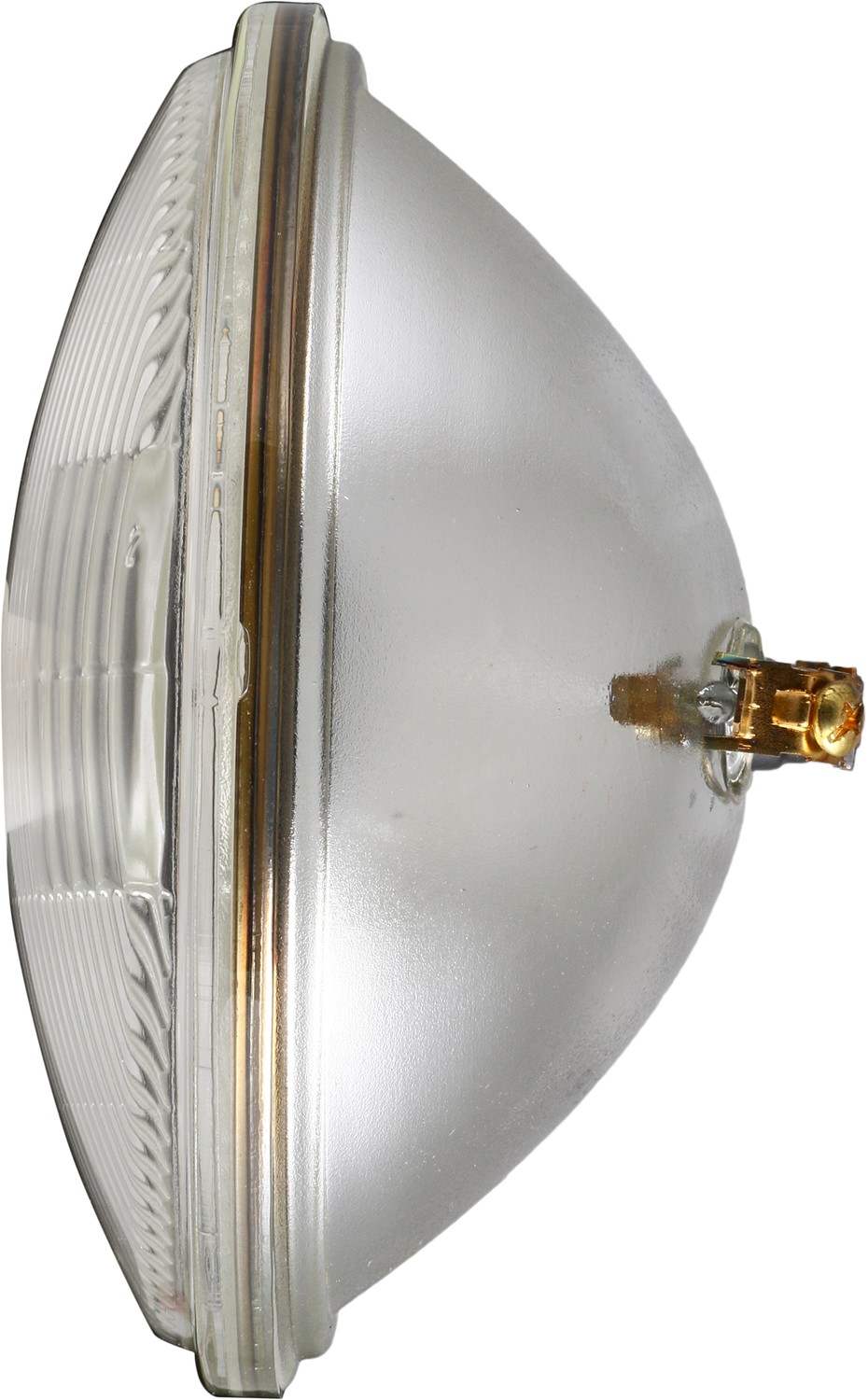 Right View of Headlight Bulb PHILIPS 4421C1