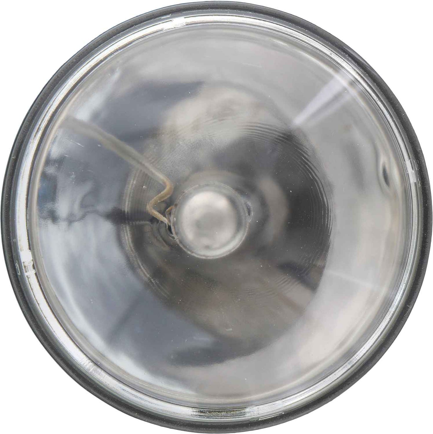 Front View of Headlight Bulb PHILIPS 4435C1