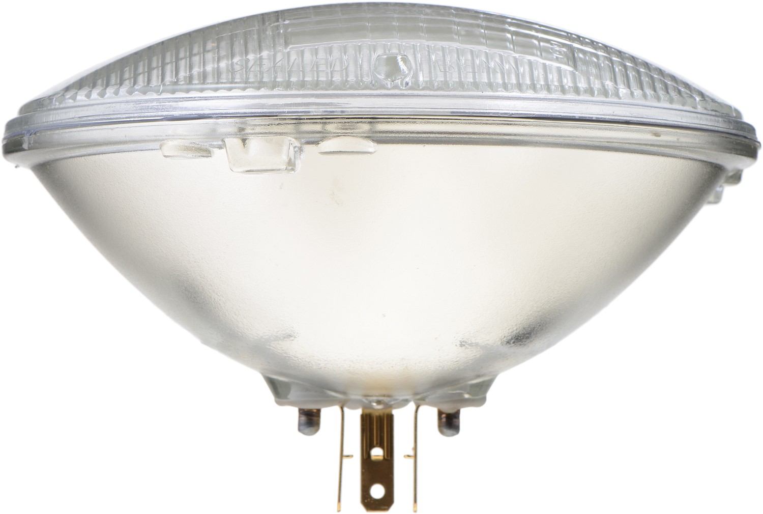 Bottom View of Headlight Bulb PHILIPS 6014C1