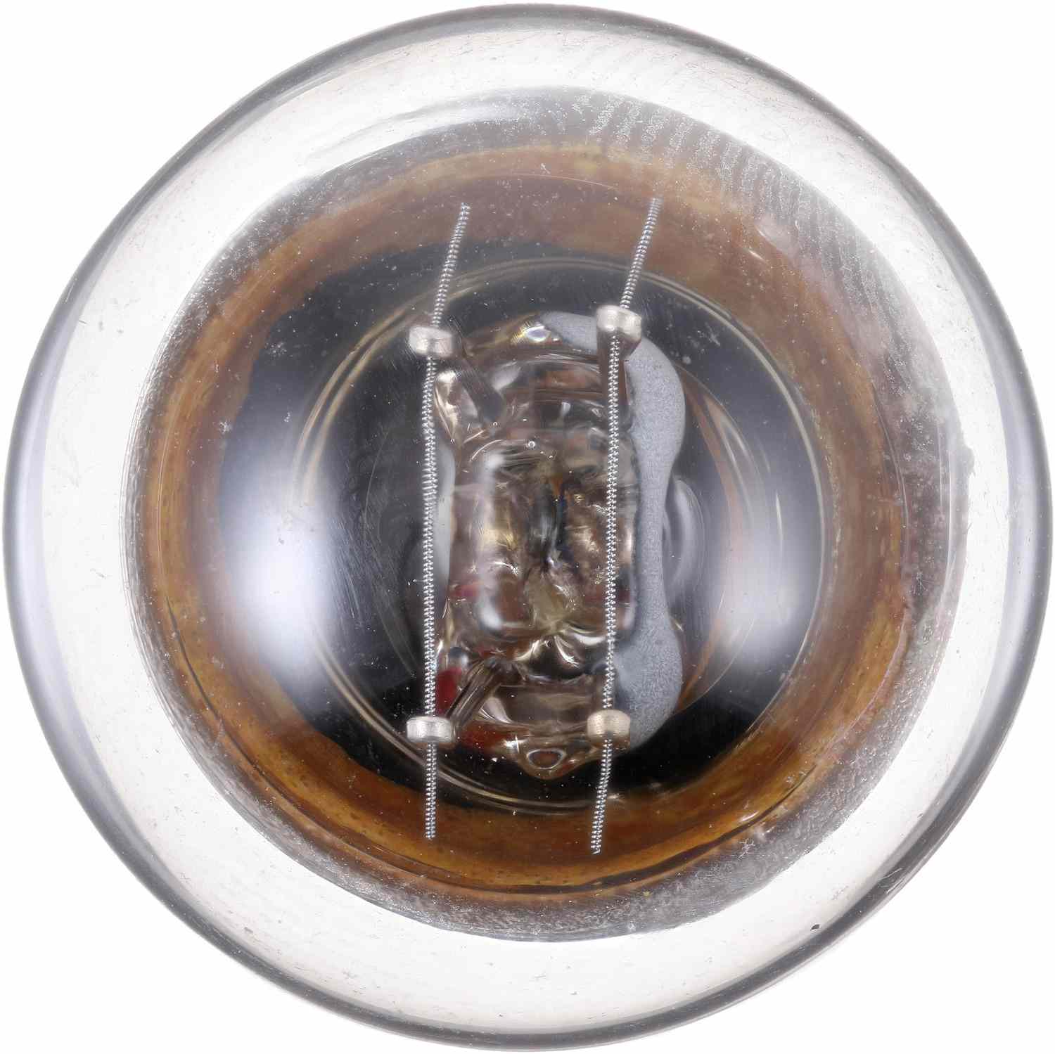 Top View of Courtesy Light Bulb PHILIPS 631LLB2