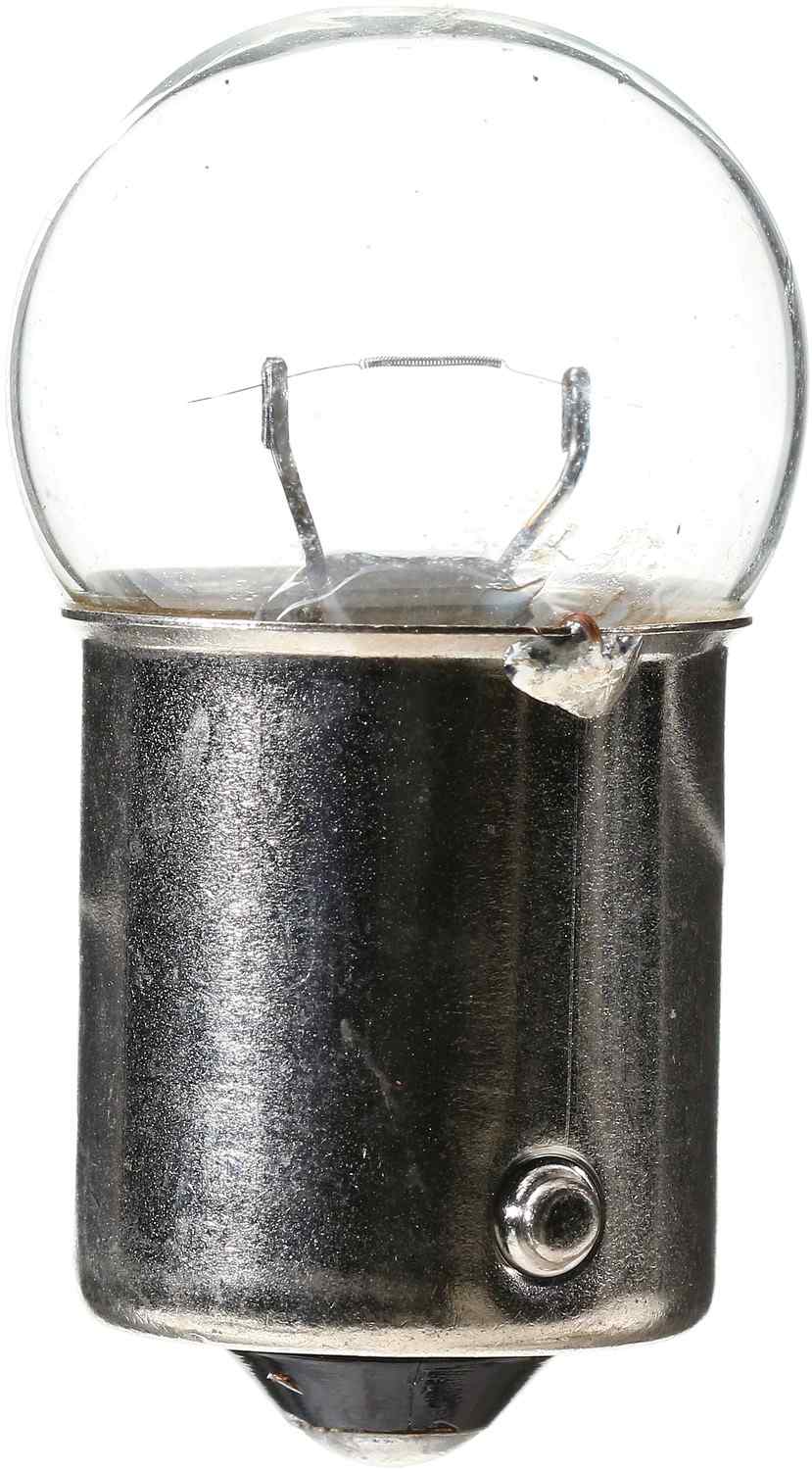 Front View of Dome Light Bulb PHILIPS 63LLB2