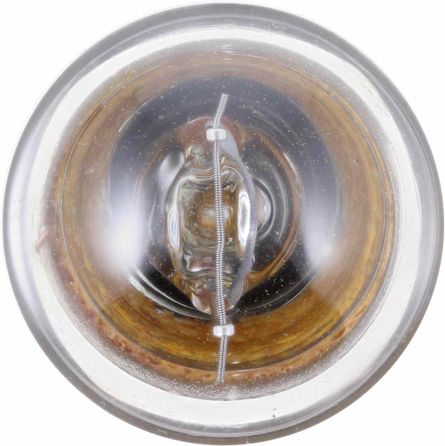 Top View of Dome Light Bulb PHILIPS 67LLB2