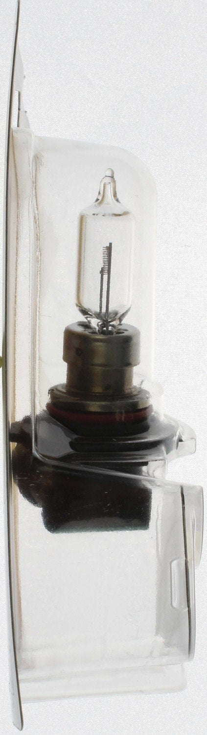 Side View of Headlight Bulb PHILIPS 9011B1