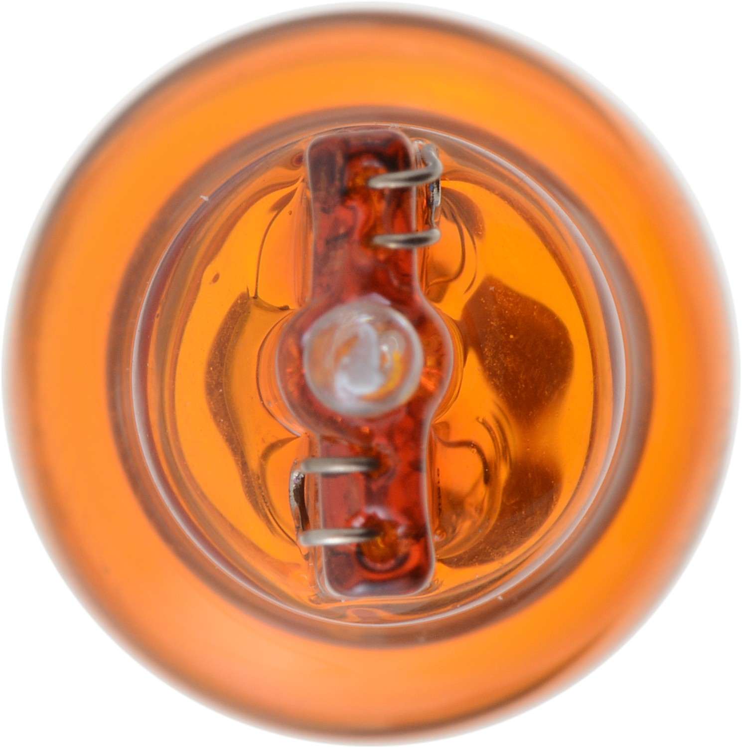 Bottom View of Front Side Marker Light Bulb PHILIPS 916NAB2