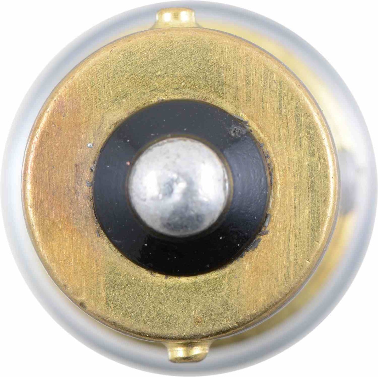 Bottom View of Courtesy Light Bulb PHILIPS 97B2