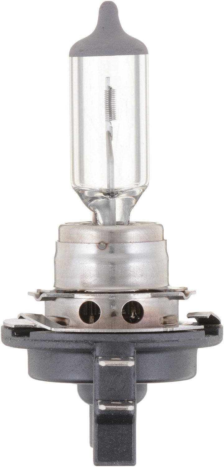 Front View of Headlight Bulb PHILIPS H11BC1