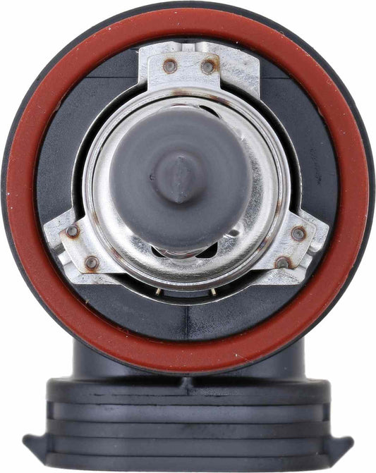 Top View of Front Fog Light Bulb PHILIPS H11MDC1