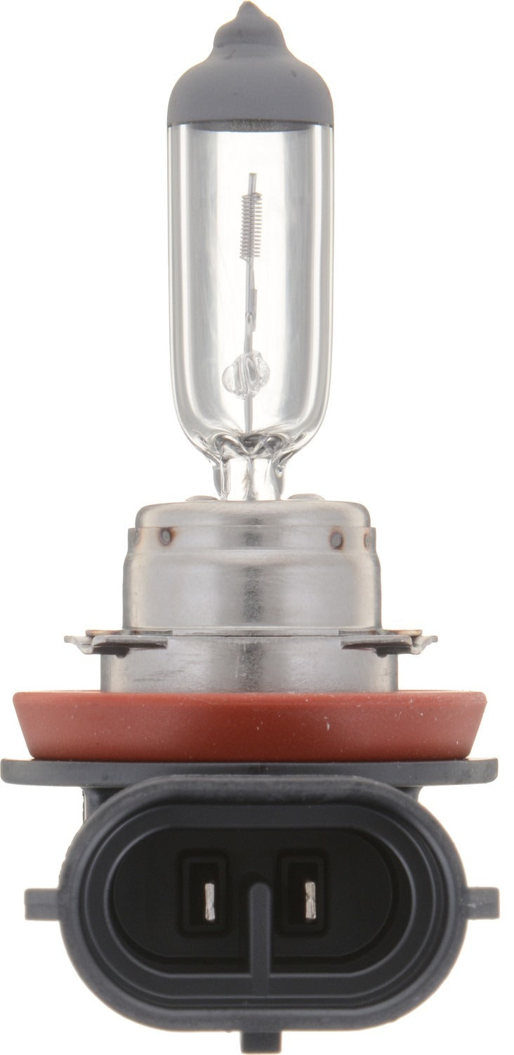 Front View of Front Fog Light Bulb PHILIPS H11VPB2