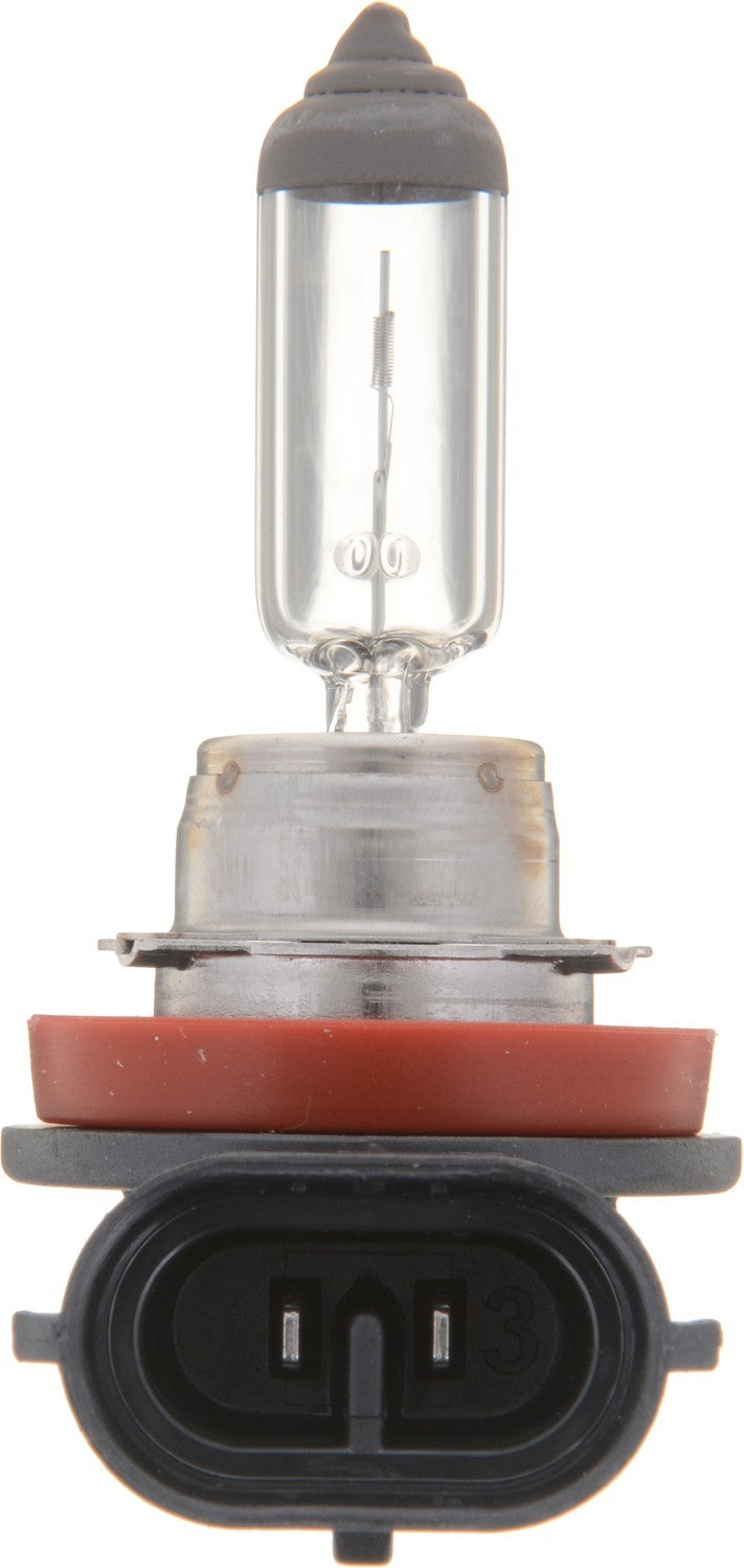 Front View of Rear Fog Light Bulb PHILIPS H16C1