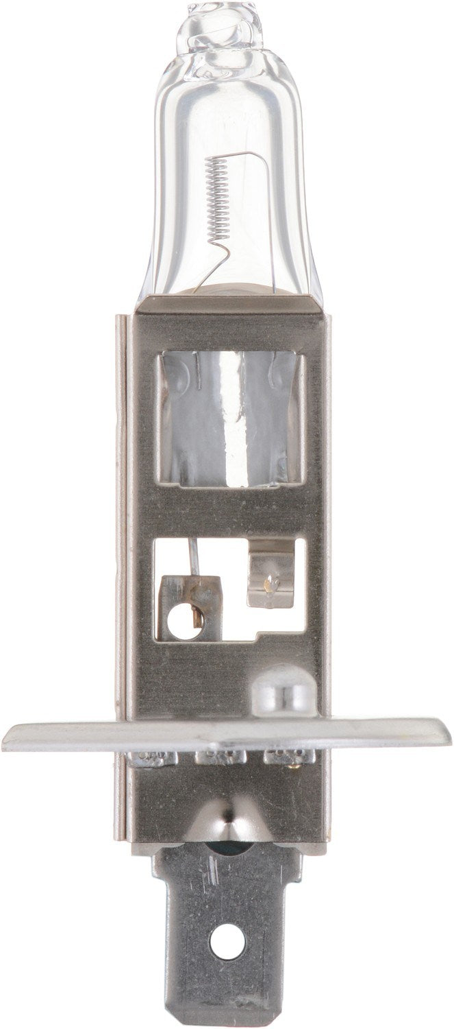 Back View of Headlight Bulb PHILIPS H1B1