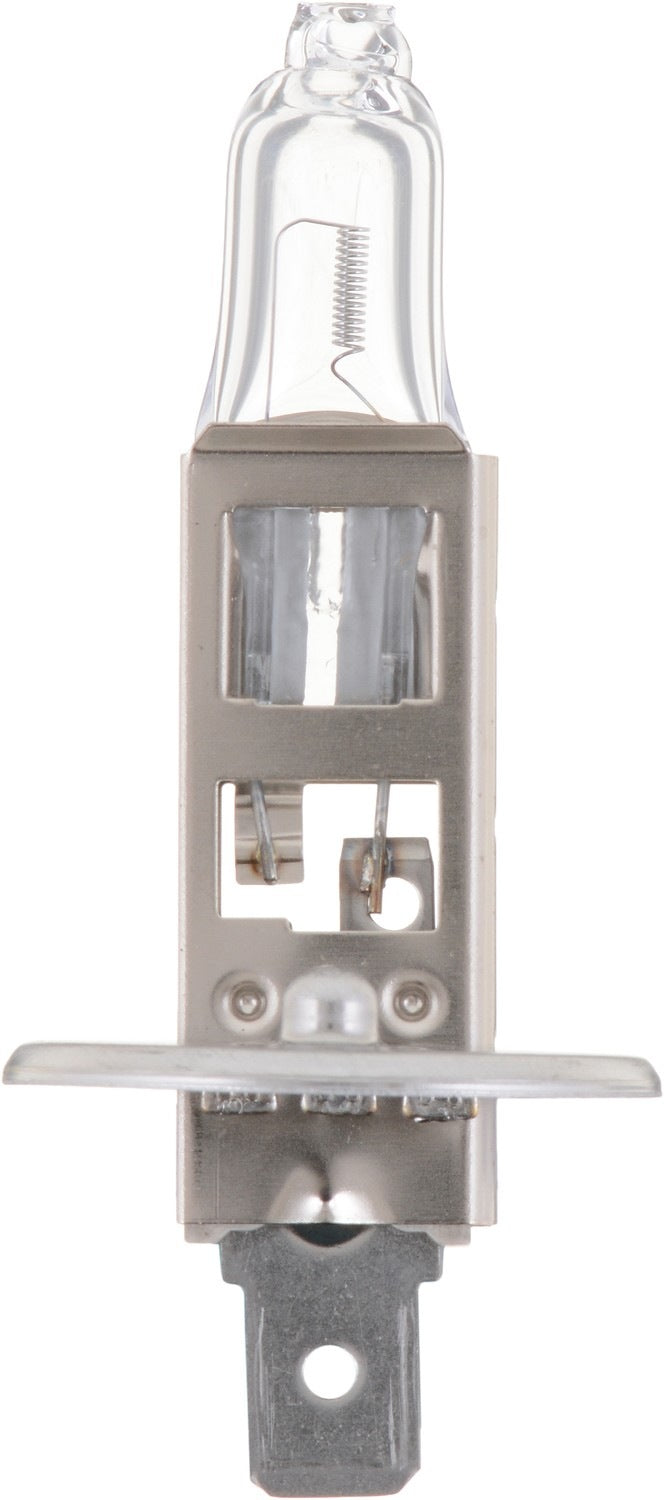 Front View of Headlight Bulb PHILIPS H1B1