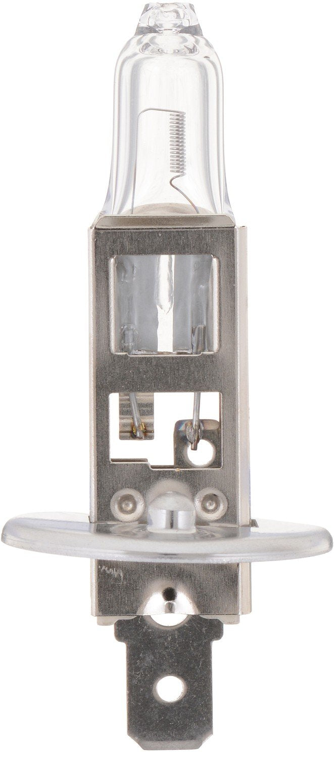 Front View of Headlight Bulb PHILIPS H1PRB1