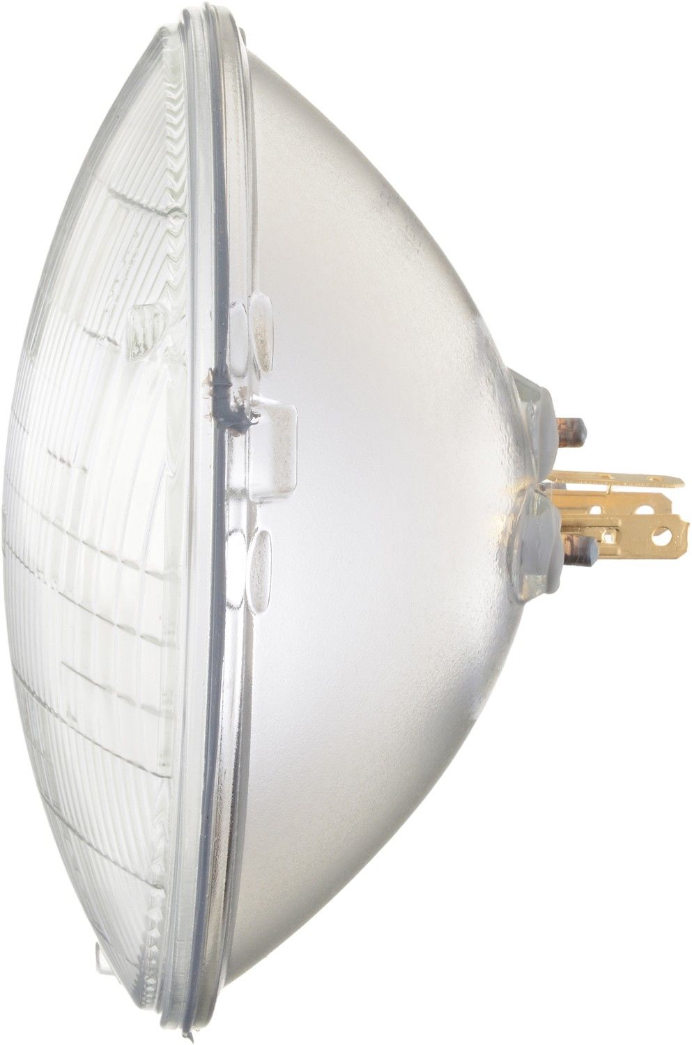 Left View of Headlight Bulb PHILIPS H6024C1