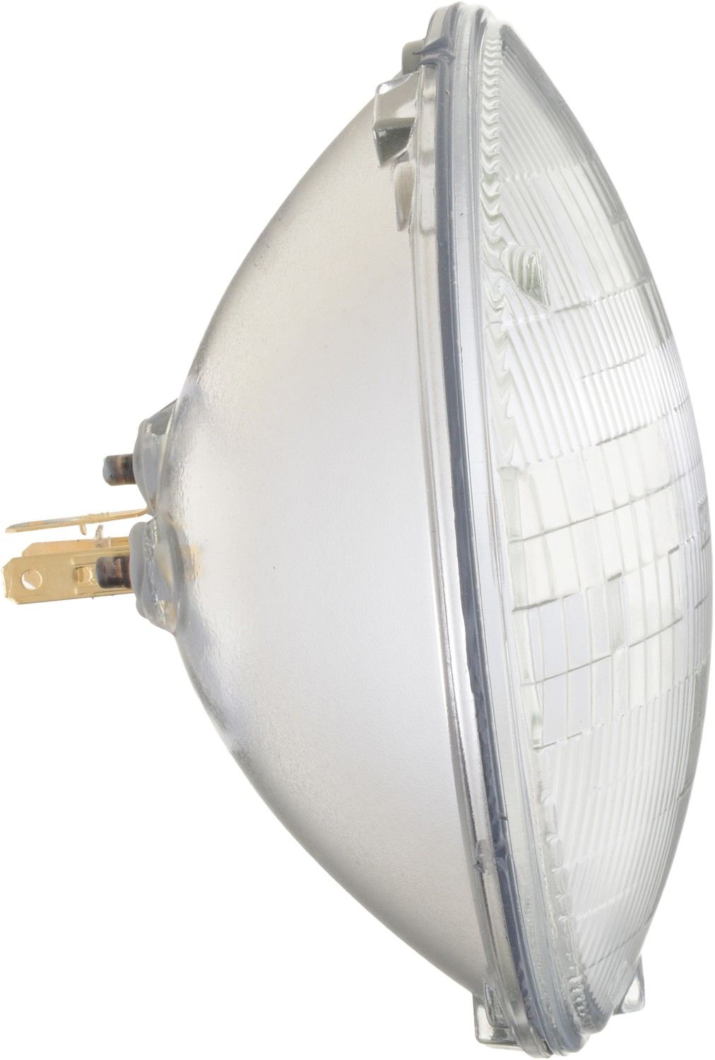 Right View of Headlight Bulb PHILIPS H6024C1