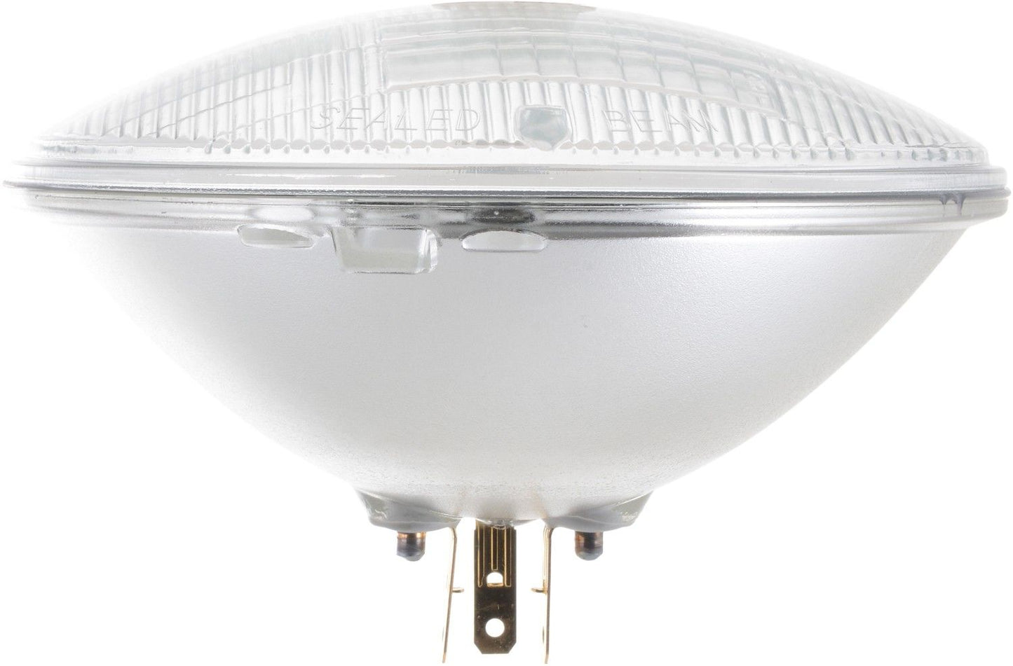 Bottom View of Headlight Bulb PHILIPS H6024CVC1