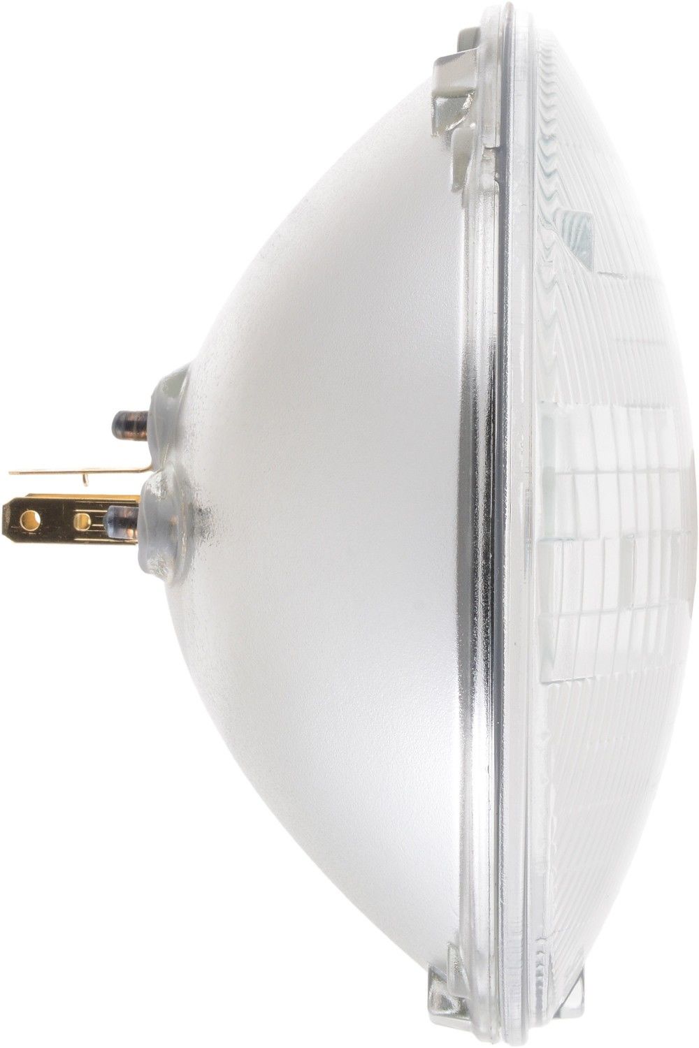 Left View of Headlight Bulb PHILIPS H6024CVC1