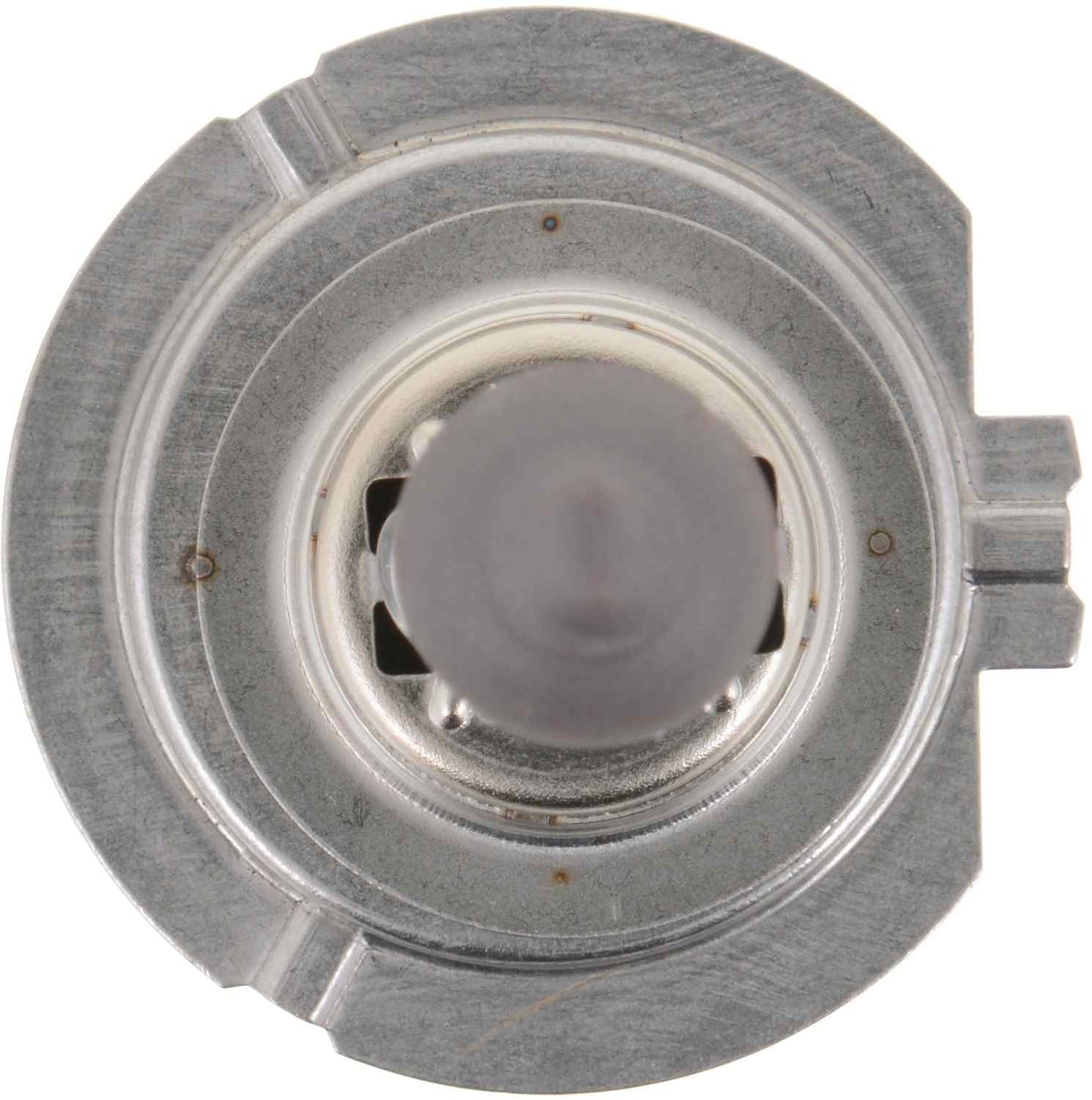 Top View of Front Fog Light Bulb PHILIPS H7B2