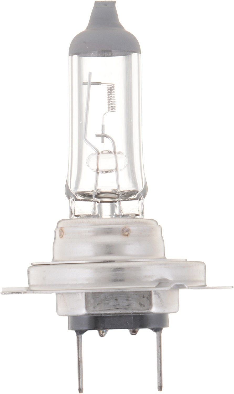 Back View of Front Fog Light Bulb PHILIPS H7VPB1