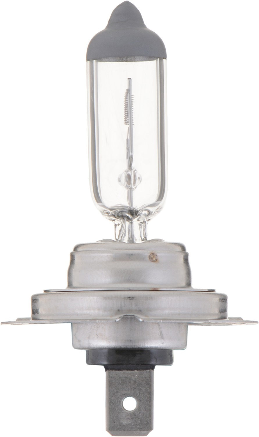 Back View of Front Fog Light Bulb PHILIPS H7VPB2