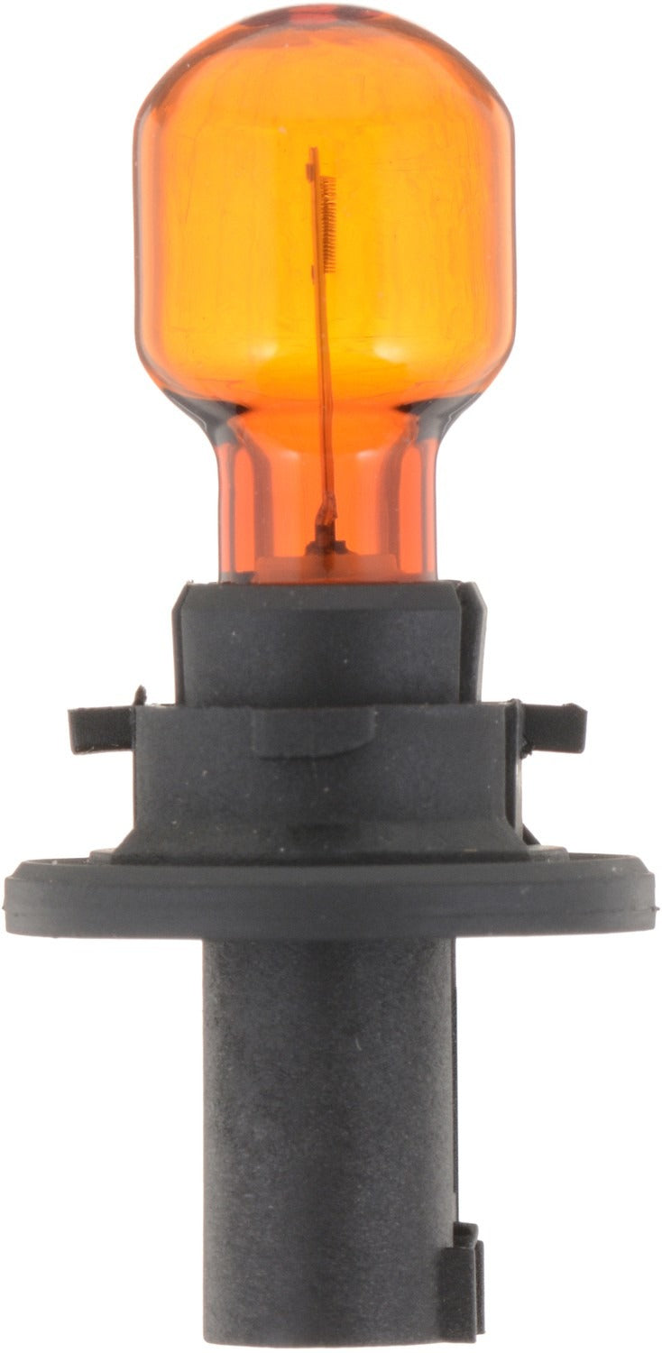 Right View of Front Turn Signal Light Bulb PHILIPS HPC24WNAC1