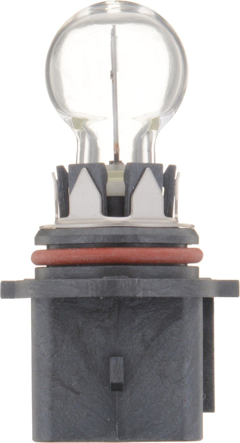 Back View of Daytime Running Light Bulb PHILIPS P13WC1