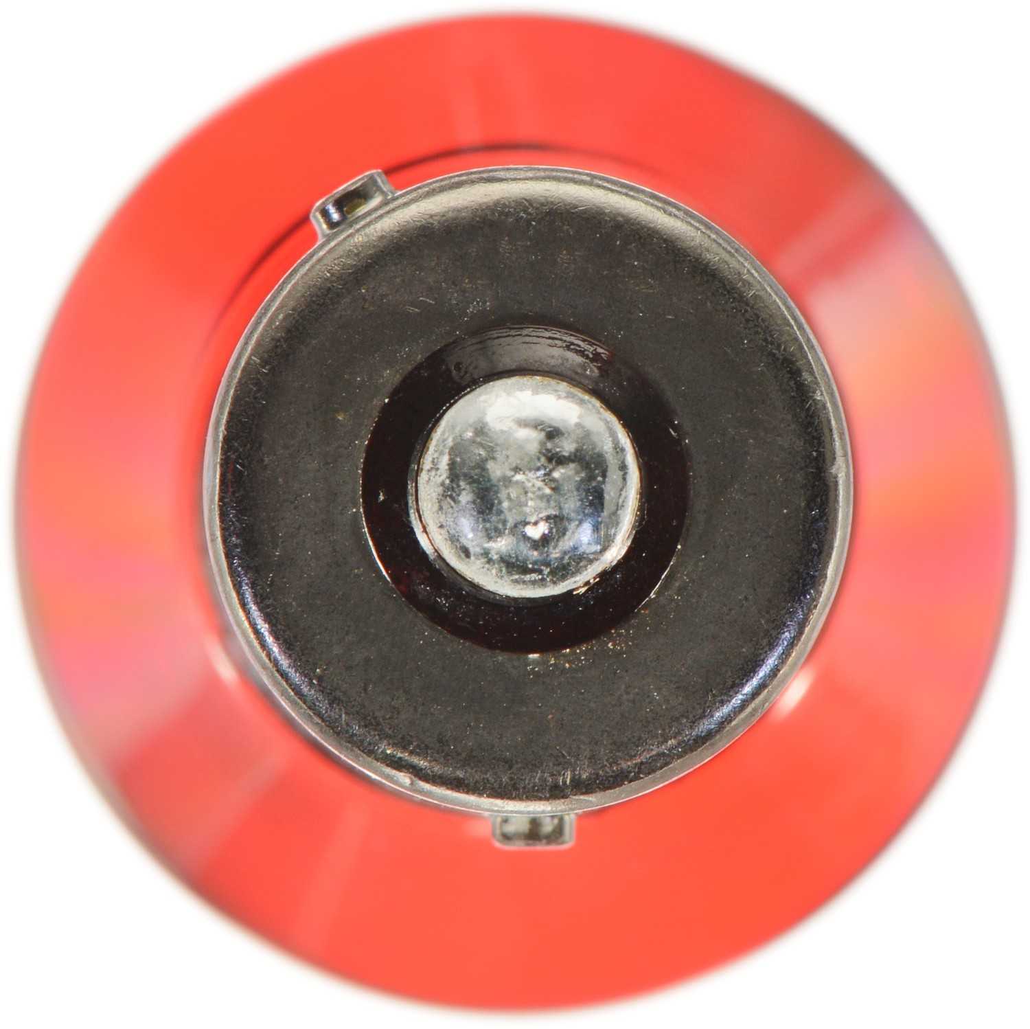 Bottom View of Tail Light Bulb PHILIPS PR21WC1