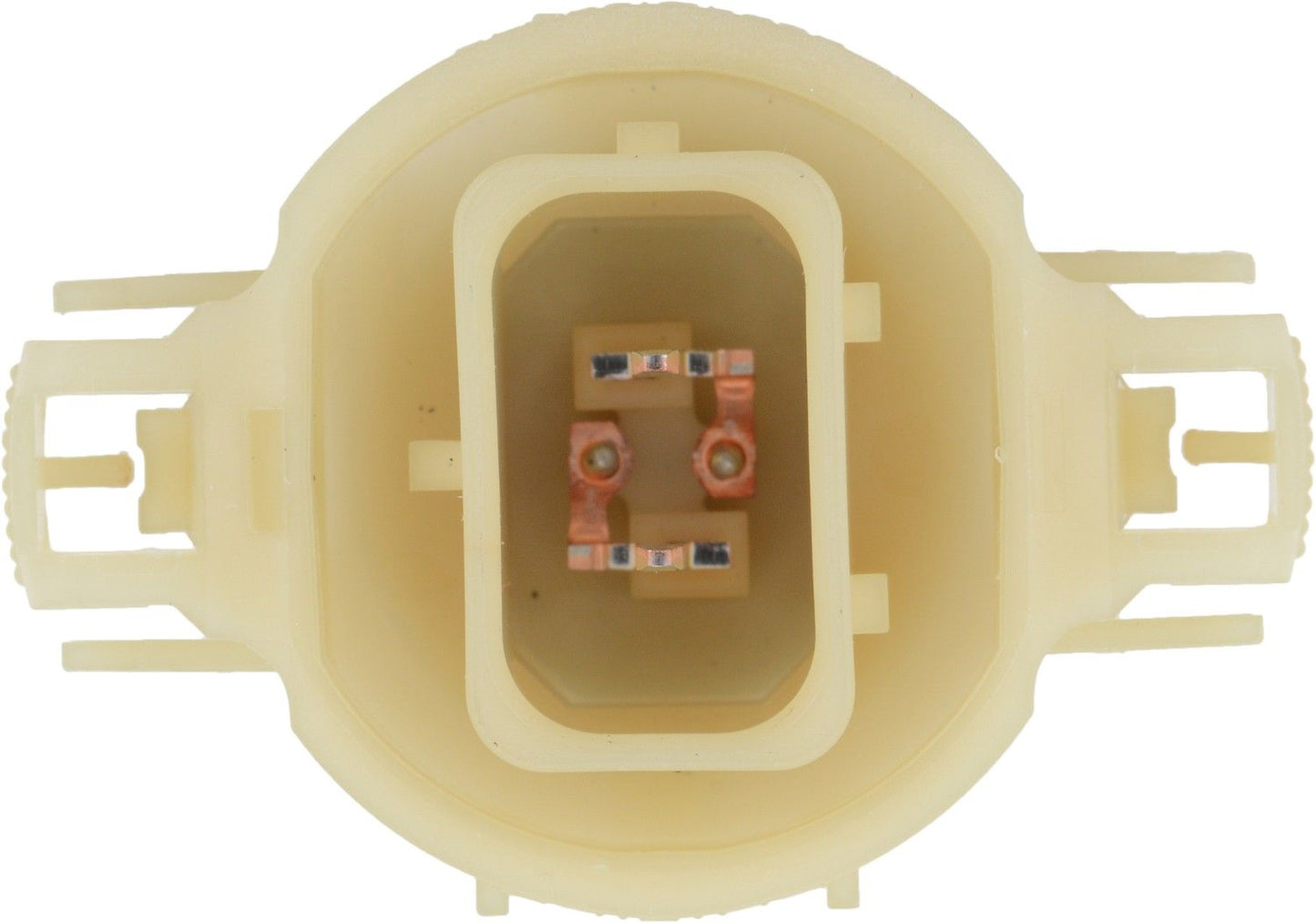 Bottom View of Front Fog Light Bulb PHILIPS PSX24WB1